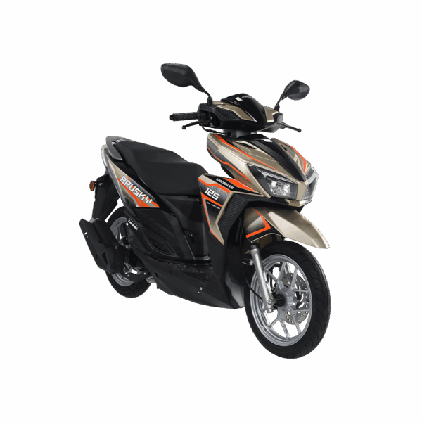 KAWASAKI BRUSKY 125 - Image 2